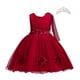 thumbnail image 1 of Verano niña flor cumpleaños tul vestido arco vestido de boda niños fiesta de noche princesa rojo rosa ropa bebé niña Bowknot vestidos 3T (etiqueta 110) Gao Jinjia LED, 1 of 2