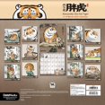 thumbnail image 4 of WWS-2024 Alexander The Fat Tiger Wall Calendar, 4 of 4