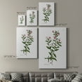 thumbnail image 4 of Rose Botanical III Premium Gallery Wrapped Canvas - Ready to Hang, 4 of 9