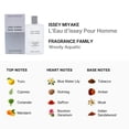 thumbnail image 2 of L'eau d'Issey Pour Homme by Issey Miyake 3.3 oz Toning After Shave Pour, 2 of 3