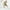 Khaki, variant on Kkkded Kids Baby Cotton Shorts Shortie for Boy Sweatpants Shorts Pants Summer Elastic Solid Color Shorts Pants Five Pants for Boys 8-15Years