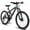 Green, variant on RAISTYW 24 inch Mountain Bike, Shimano 21 Speeds Mountain Bicycle for Adult with Disc Brakes, Carbon Steel Frame Bicycles for 15+ Yeas Old ,Blue