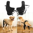 thumbnail image 4 of Tnobhg 1 Pair Pet Protective Gear Soft Breathable Adjustable Pet Supportive Leg Braces Dogs Recovery Suit Pet Supply, 4 of 7