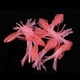 thumbnail image 5 of 10 señuelos de pesca de pulpo y calamar con falda suave y brillante. rosado, 5 of 9