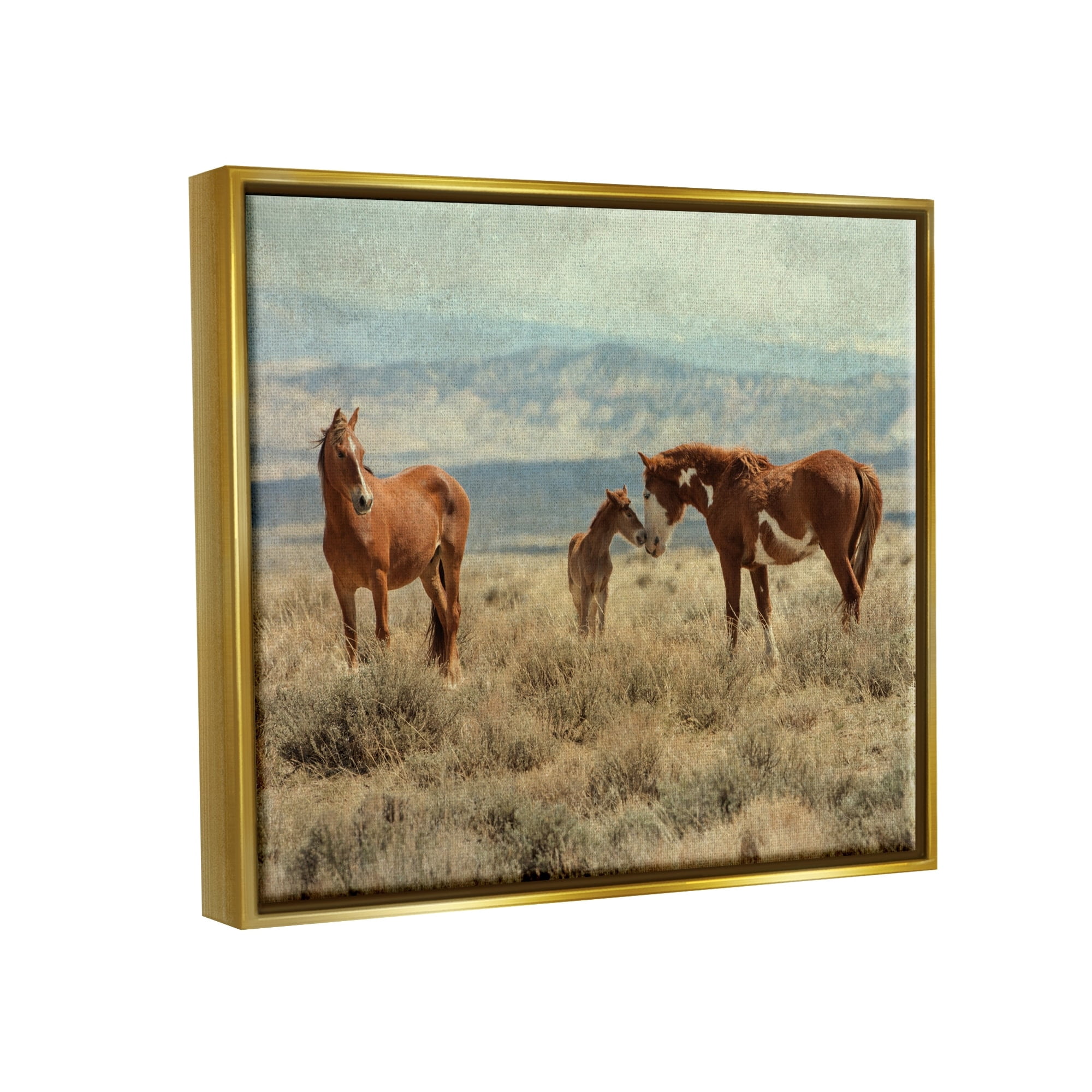 Stupell Industries Heartening Horse Foal Family Scenic Mountain Clouds Photograph Metallic Gold Floating Framed Canvas Print Wall Art, Design by Jan Walters