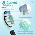 thumbnail image 4 of Paquete de 10 cabezales de cepillo de dientes Keosaa para Philips Sonicare, 4 of 8