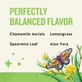 thumbnail image 3 of Mezcla desintoxicante Dandelion Wellness de Tea Celestial Seasonings, 16 bolsas, 3 of 7