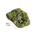 thumbnail image 3 of zhonghuaying Non-Hollow Artificial Fake Rock, Faux Moss Rock, Decorative Rocks, PU Foam Fake Stone for Outdoor Landscaping Yard, Indoor Window Display(11.02 in), 3 of 6