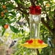 thumbnail image 5 of Comedero para colibríes Shrdaepe, botella de vidrio, 300 ml, 5 puertos, 5 of 7