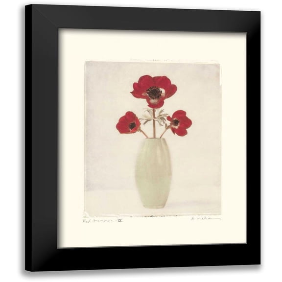 Melious, Amy 12x14 Black Modern Framed Museum Art Print Titled - Red Anemones IV