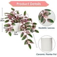 thumbnail image 4 of 20 Inch Watermelon Peperomia Artificial Plants Greenery Fake Potted Plants Faux Hanging Vine Plant with Ceramic Pot Home Decor, 4 of 6