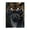 500 Pieces, variant on 1000-Piece Wooden Jigsaw Puzzle for Adults - Tiger Snarl Face Fangs Predator , Fun & Relaxing Family Game, No-Dust Interlocking Pieces, Perfect Wall Decor & Holiday Gift