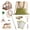 Green, variant on Explorer Kit & Catcher For  12pcs Catching Outdoor Collection With Binoculars Butterfly Net Insect Box Magnifying Glass And Compass Watch 3-12
