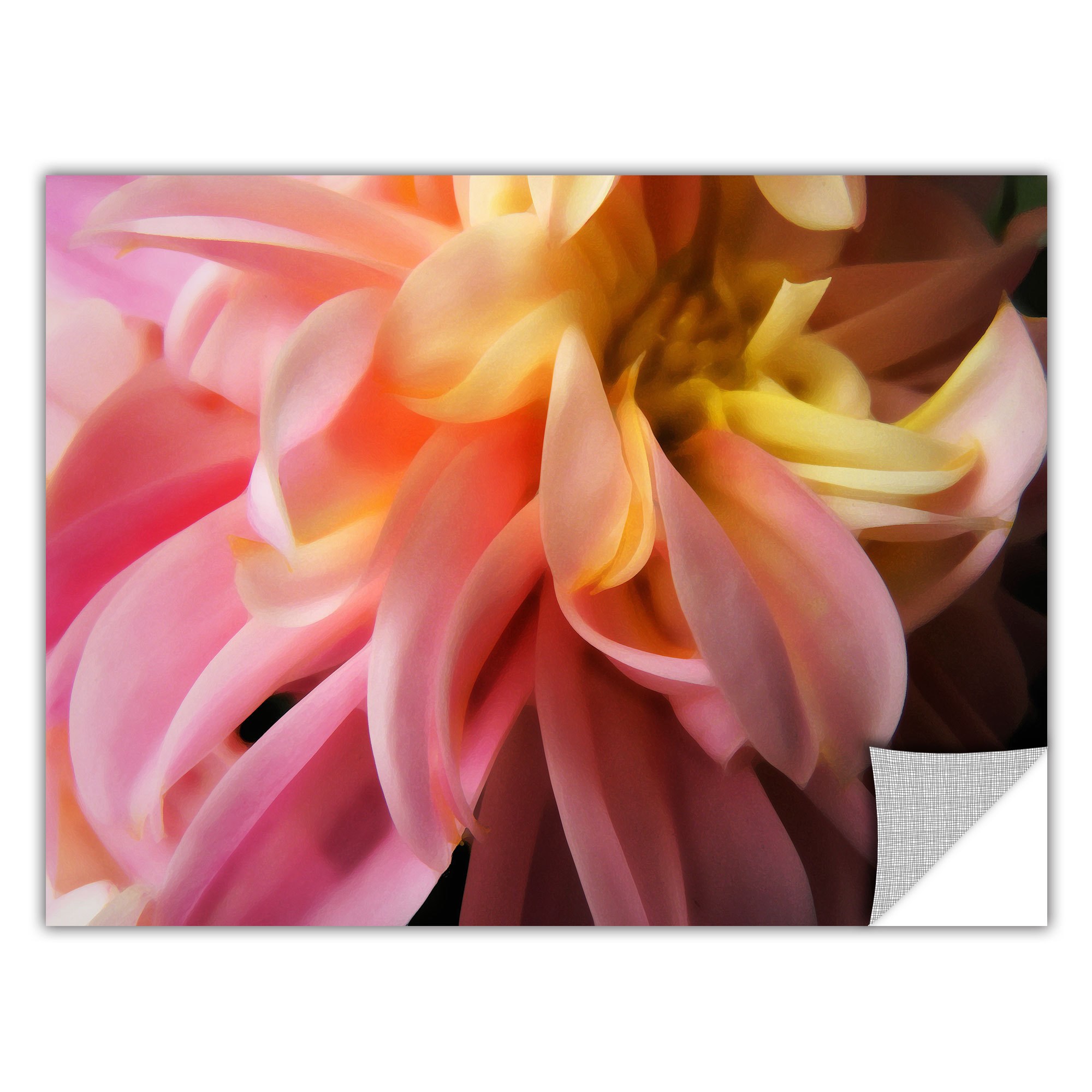 Artapeelz Dean Uhlinger "Dahlia Study" Removable Wall Art Graphic