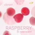 thumbnail image 4 of Crema desodorante Dove para todo el cuerpo, frambuesa y rosa, 75 ml, 4 of 6