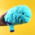 thumbnail image 5 of I Heart Guts 11” Brain Plush Toy Blue/Purple Science Stuffed Organ, 5 of 7