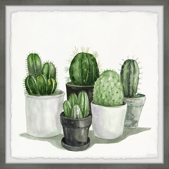 Parvez Taj Pointy Spikes Succulents Framed Painting Print