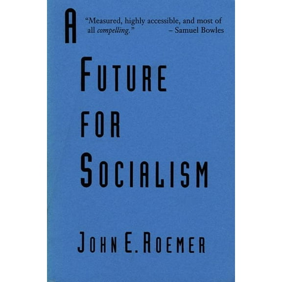 A Future for Socialism (Paperback)