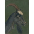 thumbnail image 2 of Christian Friedrich Gille 18x24 Black Ornate Framed Double Matted Museum Art Print Titled: Goat Head, 2 of 5