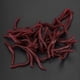 thumbnail image 4 of Fishing Lure 4cm Soft Insects False Earthworm Sea Bait Bloodworm Lures Artificial Baits 200Pcs, 4 of 4