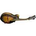 thumbnail image 2 of Washburn M3EK "F" Style Mandolin Pack, 2 of 3