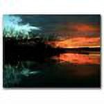 Trademark Art "Life" Canvas Art by CATeyes
