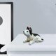 thumbnail image 5 of Estatuilla de mascota con cabeza de Bobble perfecl para salpicadero de coche, 5 of 8