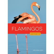 Flamingos, (Paperback)