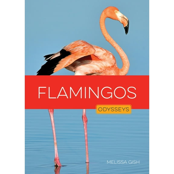 Flamingos, (Paperback)