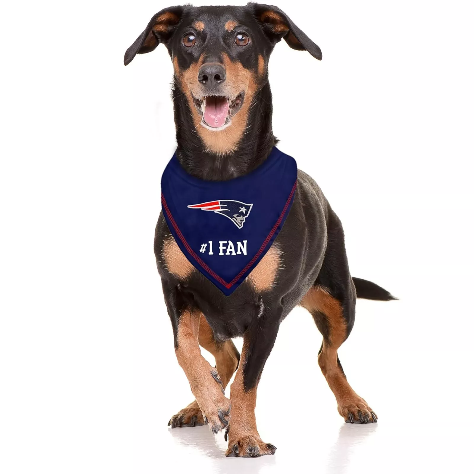 Pets First NFL Personalized Tie Bandana for Dogs & Cats Customizable Dog Bandana