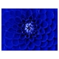 thumbnail image 2 of Design Art - Abstract Blue Flower Design, 2 of 3