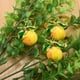 thumbnail image 1 of 12 Piezas de Servilleteros de LimóN, Servilleteros de Verano, Servilletero de Frutas Tropicales, Hebilla Decorativa para Verano, CumpleañOs, Boda, Fiesta, 1 of 10