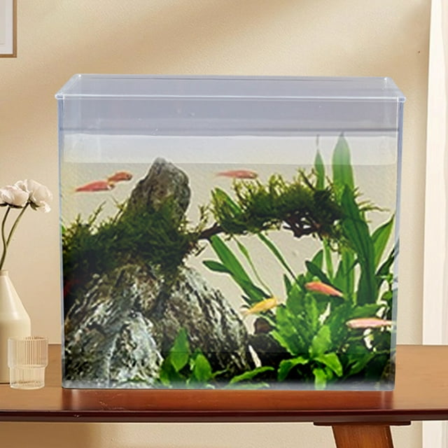 CBFFDC Transparent Fish Tank Betta Fish Aquarium Non Slip Base 360 Degree Viewing Transparent High Light Transmittance Aquarium for Study Room Desktop Office