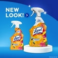 thumbnail image 7 of Lysol Brand New Day Bathroom Cleaning Foamer Aerosol, Mango & Hibiscus, 32 fl oz, 7 of 7