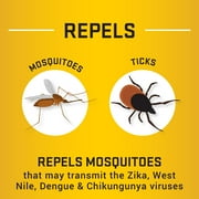 Repel Insect Repellent Sportsmen Formula 25% DEET, Aerosol Insect Killer, 6.5 Ounces