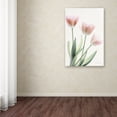 thumbnail image 3 of Trademark Fine Art 'Light and Bright Floral II' Canvas Art by Elizabeth Urquhart, 3 of 3
