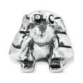 thumbnail image 3 of 925 Sterling Silver Reflections Kids Turtle Bead; for Adults and Teens; for Women and Men, 3 of 4