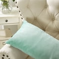 thumbnail image 3 of Home Soft Things Milliken Plush Throw Pillow Covers 2 Piece Set - Agate - 14" x 26", 3 of 4