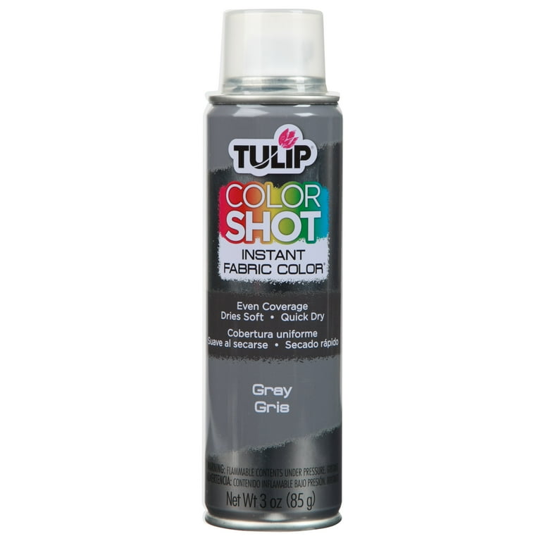 Tulip Color Shot Instant Fabric Paint Color Spray 3 oz Gray