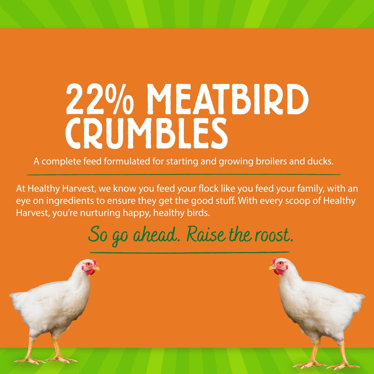 (3 pack) 22% Meatbird Starter Crumbles
