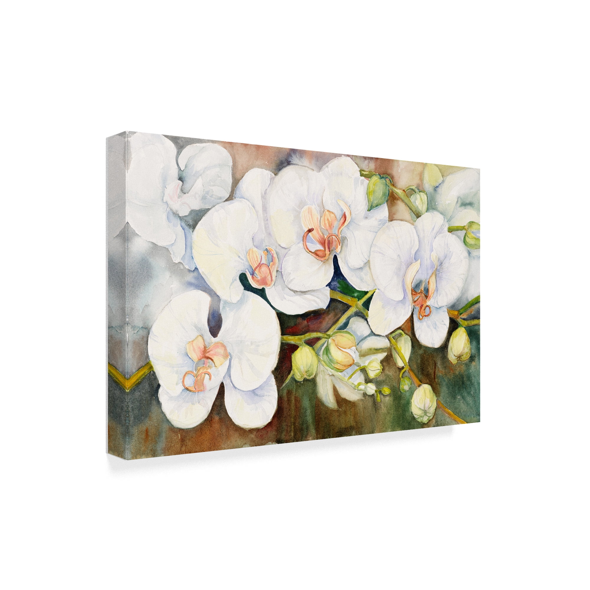 Trademark Fine Art 'Stem Of Orchids' Canvas Art by Joanne Porter