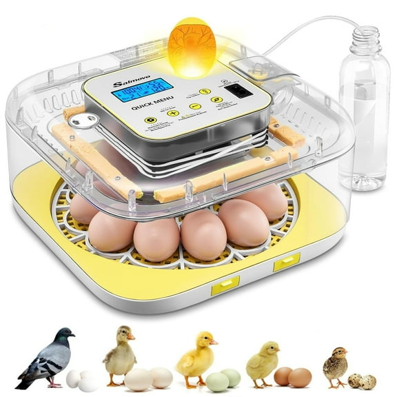 Adnoom Egg Incubator for Hatching Eggs, 12 Eggs Chicken Incubator with Automatic Egg Turning and Temp&Humidity Control, LCD Display,Incubator for Chicken Quail Ducks Bird