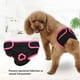 thumbnail image 5 of Pantalones de algodón para perros pantalones de algodón suaves y cómodos pañales sanitarios para mascotas ropa interior para perros más flexible perros grandes mascotas ANGGREK Otros, 5 of 7