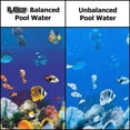 thumbnail image 5 of Rx Clear Calcium Hardness Increaser for Swimming Pools, 4 lbs, 5 of 5