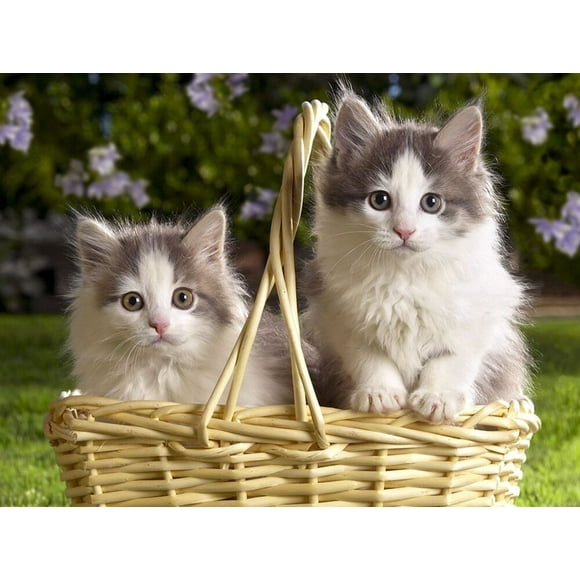Colorful Animal Diamond Painting Kits Rhinestone Wall Decoration Embroidery Cross Stitch Arts Craft
