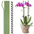 thumbnail image 1 of 10Pcs Plant Support Sticks Stents Garden Flower Stakes Bendable Planting Climbing Qualitative Wire Plastic Coated Metal Steel, 1 of 21