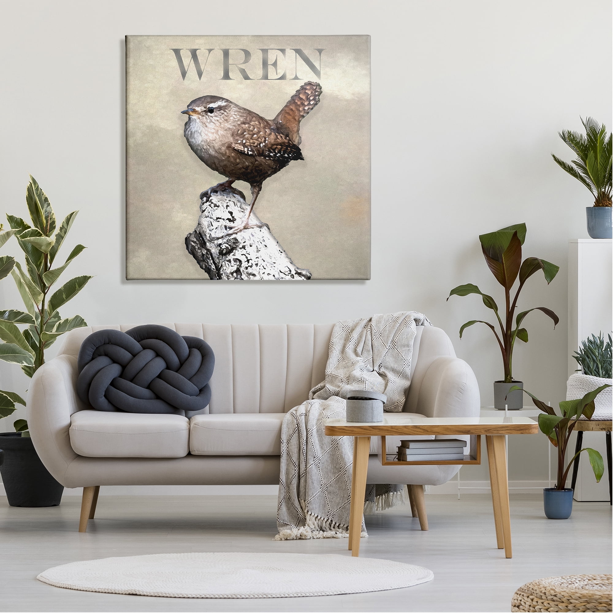 Stupell Industries Wren Bird Standing Casual Nature Breed Typography Graphic Art Gallery Wrapped Canvas Print Wall Art, Design by Alpenglow Workshop