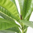 thumbnail image 6 of 84.3'' Artificial Japanese Blueberry tree in a tall beige fiberstone planter perfect for indoor and outdoor use, 6 of 6