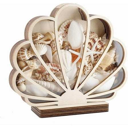 Shell Display Case 7.8x7 inch Wooden Seashell Shadow Box with Clear Window Wood Shell Holder Seashell Shaped Display Box