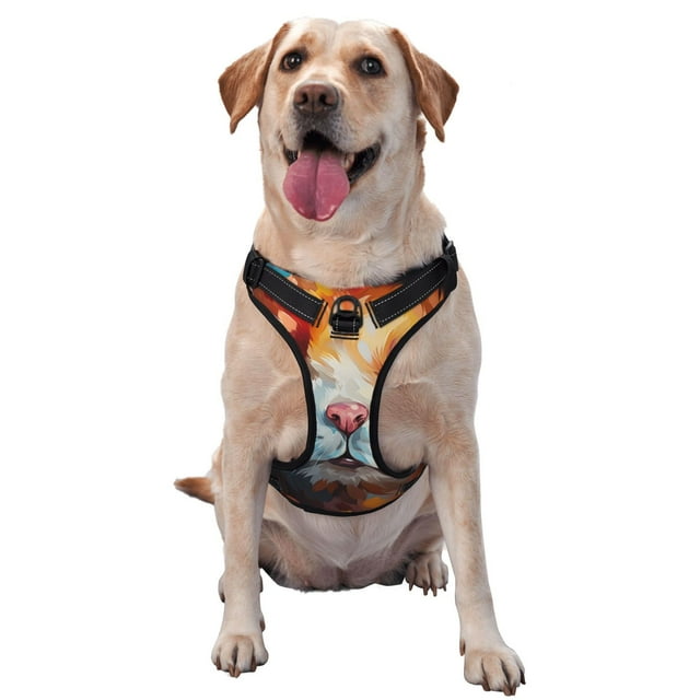 Kdxio Peinture à l'Huile Hamster Coloré Imprimé Harnais pour Chien Réglable Réfléchissant Oxford Contrôle Facile Harnais pour Chien Moyen Grand pour l'Entraînement et Quotidien-Petit